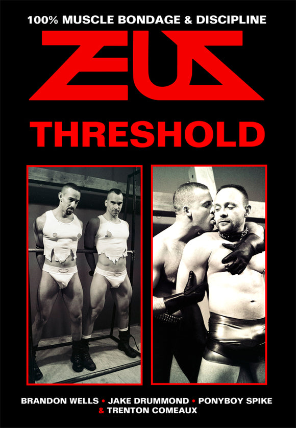 THRESHOLD DVD